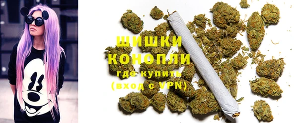 дурь Краснослободск