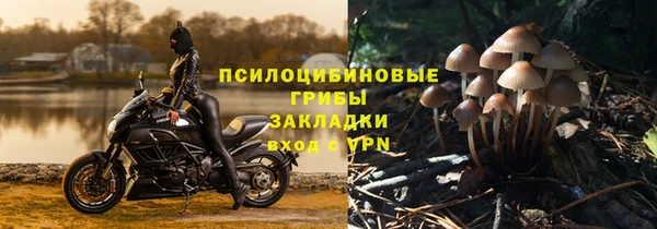 дурь Краснослободск
