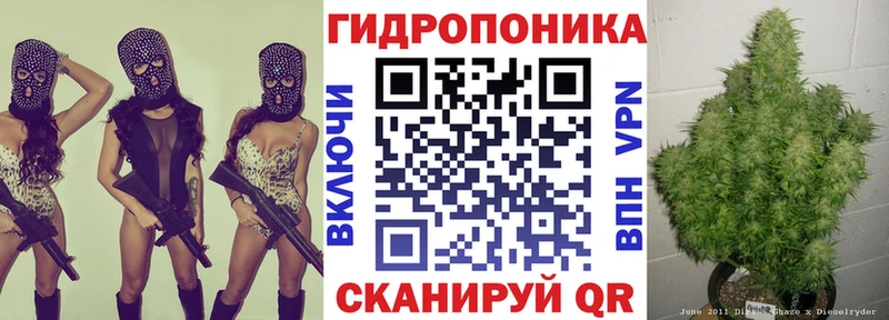 MEGA рабочий сайт  что такое наркотик  Северобайкальск  Шишки марихуана Ganja 
